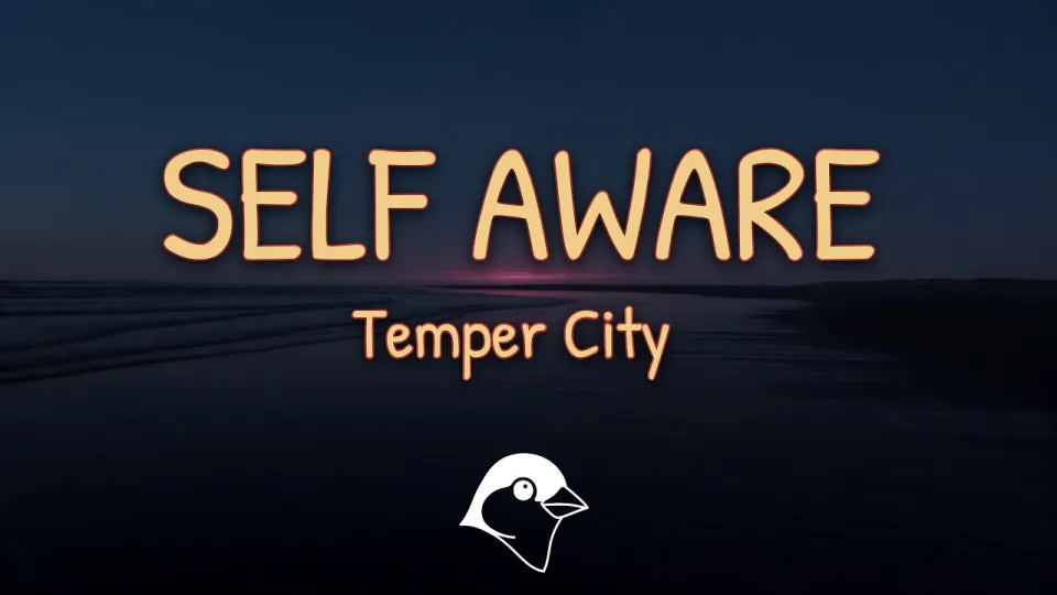 Understanding Self Aware Lyrics: Meaning and Analysis of Temper City's Song